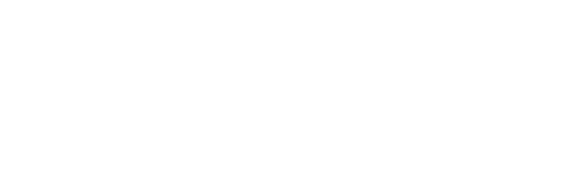 GoFiber